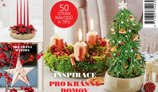 Speciál Vánoční dekorace