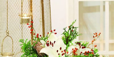 Květina na sváteční stůl