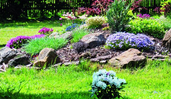 Skalničky pro začátečníky i pokročilé