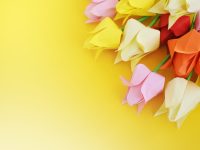 Origami tulipány pro radost