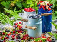 3 skvělé tipy, jak zpracovat letní ovoce