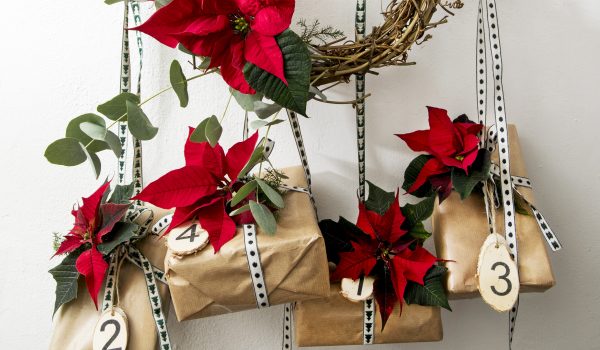 Nápady pro tvořivý advent