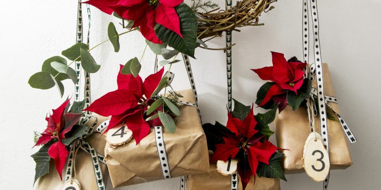 Nápady pro tvořivý advent