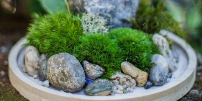 Dekorativní stromečky z mechu