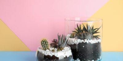 Vytvořte si vlastní florárium