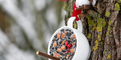 Nakrmte ptáčky snadno a rychle