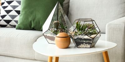 Květiny ve skle: Do florária vysaďte rostliny, které pomalu rostou